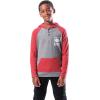 imageUltra Game NFL Boys SuperSoft Hoodie Pullover Henley SweatshirtTeam Color