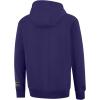 imageUltra Game Youth NFL Official Super Soft Premium Hoodie SweatshirtTeam Color