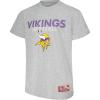 Minnesota Vikings