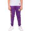 imageUltra Game NFL Boys High Performance Moisture Wicking Fleece Jogger SweatpantsTeam Color