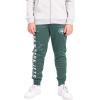 imageUltra Game NFL Boys High Performance Moisture Wicking Fleece Jogger SweatpantsTeam Color