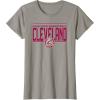imageNBA Cleveland Cavaliers City Pride TShirtSlate Grey