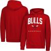 imageUltra Game Men s NBA Official Super Soft Teamster Hoodie SweatshirtTeam Color