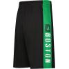imageUltra Game Mens NBA Official Super Soft Active Workout Basketball Training ShortsBoston Celtics