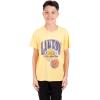 imageUltra Game NBA Boys Super Soft Distressed TShirtTeam Color