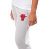 imageUltra Game NBA Womens Sleepwear Super Soft Hacci Pajama Loungewear PantsChicago Bulls