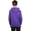 imageUltra Game Youth NBA Official Super Soft MVP Pullover Hoodie SweatshirtTeam Color