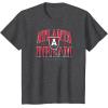 imageWNBA Atlanta Dream TShirtDark Heather Grey