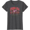imageWNBA Indiana Fever Courtside TShirtDark Heather Grey