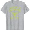 imageWNBA Property Of Dallas Wings Licensed TShirtHeather Grey