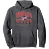 imageWNBA Indiana Fever Courtside Pullover HoodieDark Heather Grey