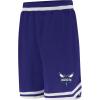 imageUltra Game Mens NBA Official Soft Air Mesh Teamster Basketball Shorts  Classic FitTeam Color