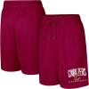 imageUltra Game NBA Mens NBA Official Teamster Basketball ShortsTeam Color