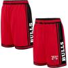 imageUltra Game Boys NBA Official Soft Air Mesh Game Day Basketball Shorts  Classic FitTeam Color