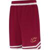 imageUltra Game Mens NBA Official Soft Air Mesh Ultimate Basketball Shorts  Classic Fit  Team ColorTeam Color